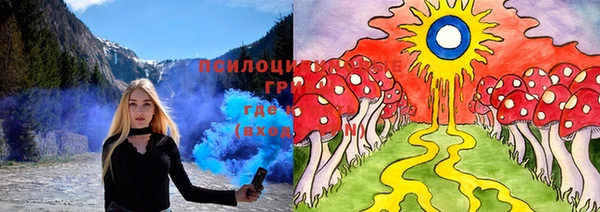 индика Абдулино